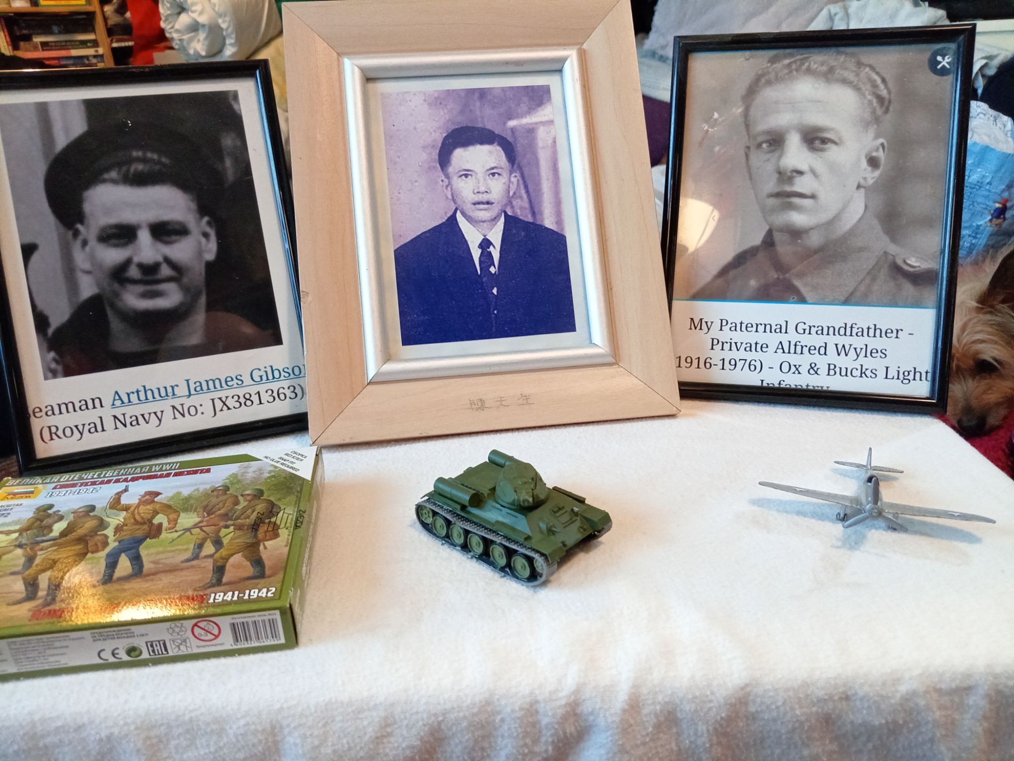 Our Grandfathers Who Fought Fascism During WWII!