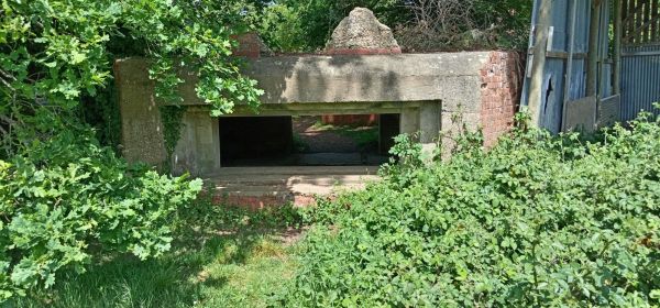 WWII Home Guard Emplacement - Waverly Abbey - Farnham