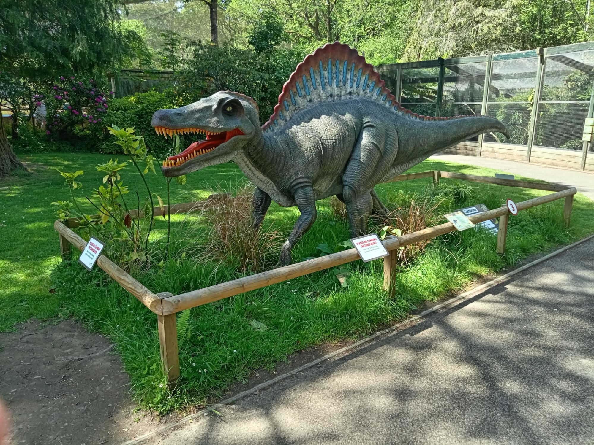 Bird World Dinosaur!