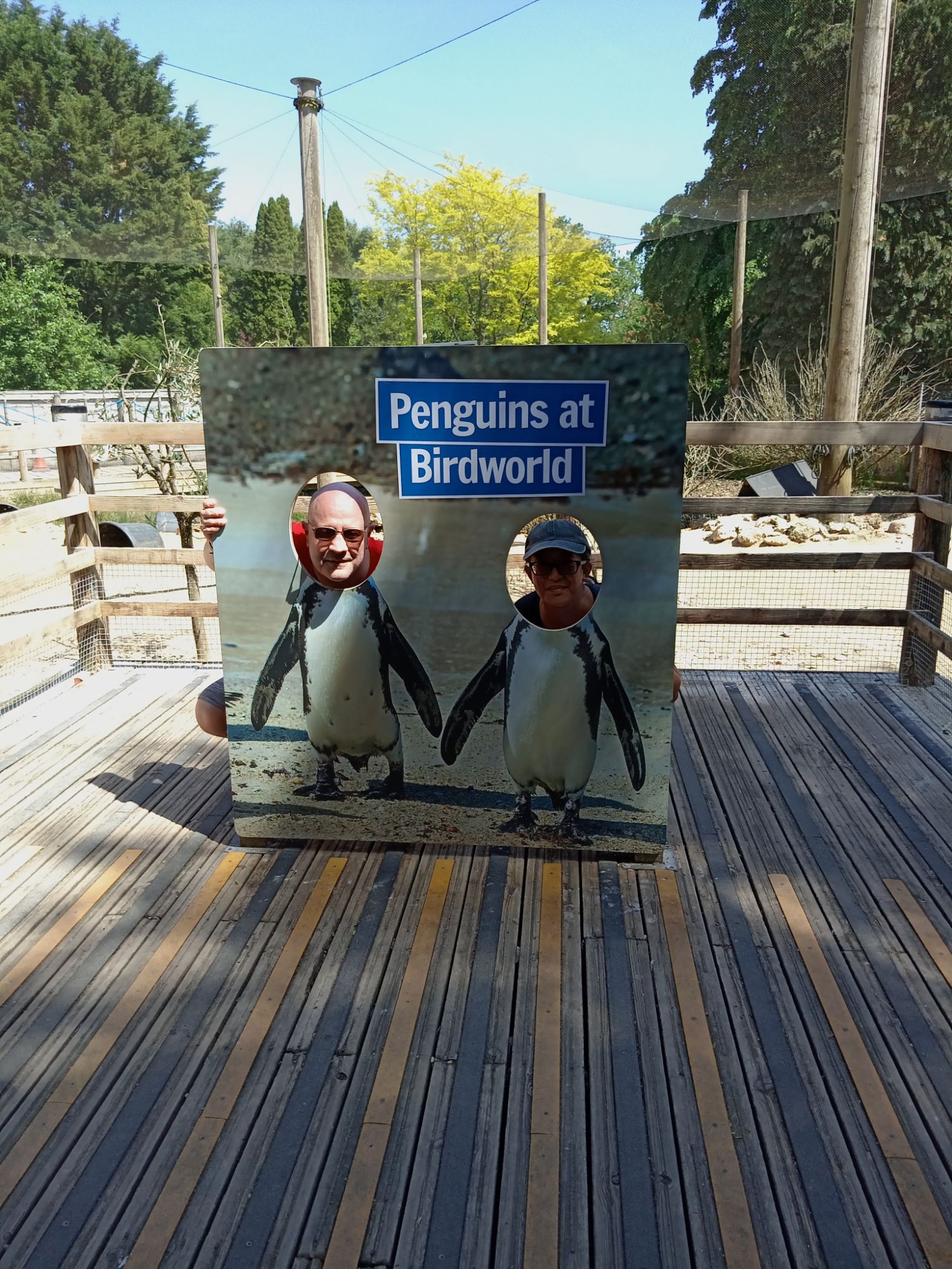 Family Day Out At Bird World!