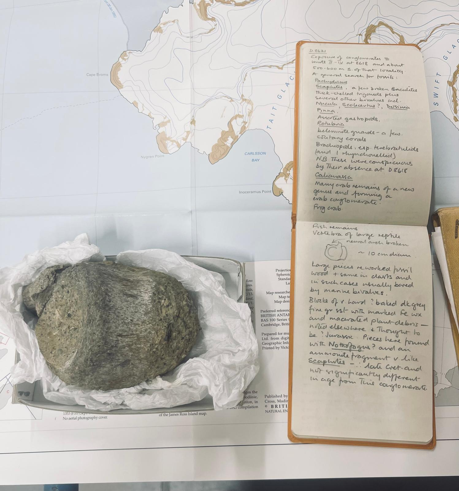 The 1985 geological field notebook belonging to Dr Mike Thomson, British Antarctic Survey next to the first ever dinosaur fossil vertebra found in Antarctica.