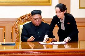 Press Statement of Kim Yo Jong, Department Director of C.C., WPK