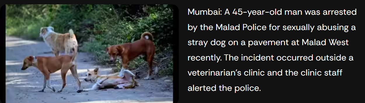 45-year-old man arrested for sexually abusing a dog on a pavement in Malad | Mumbai News - The Times of India