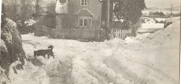 The Beautiful Devon Village of Kentisbeare - 1947!