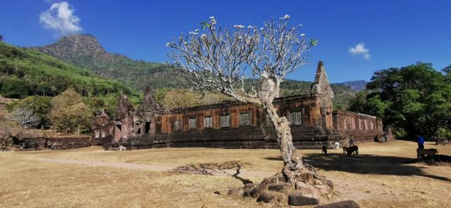 Theravada Buddhist Monks Live in the Ruins of the Main Hall!