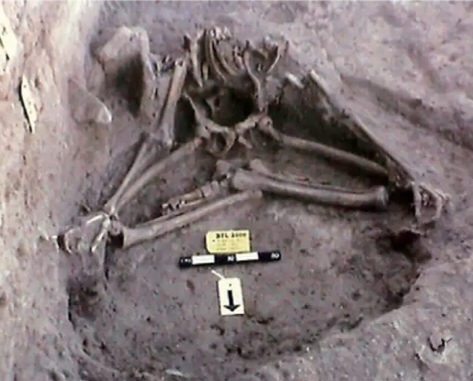Deconstructing the Balathal “Samadhi” Skeletal Remains!
