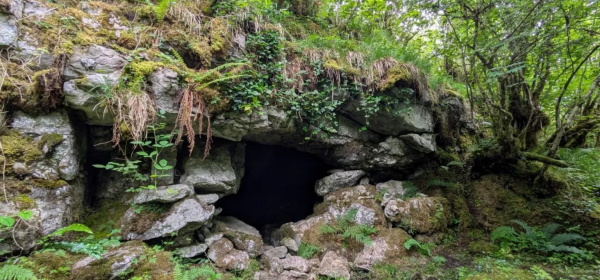 Researchers have helped to unearth the earliest known evidence of human existence in Ireland
