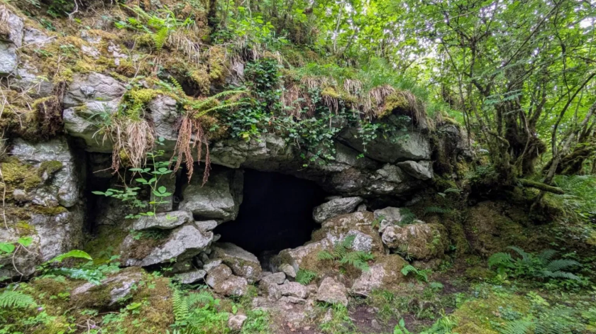 Researchers have helped to unearth the earliest known evidence of human existence in Ireland