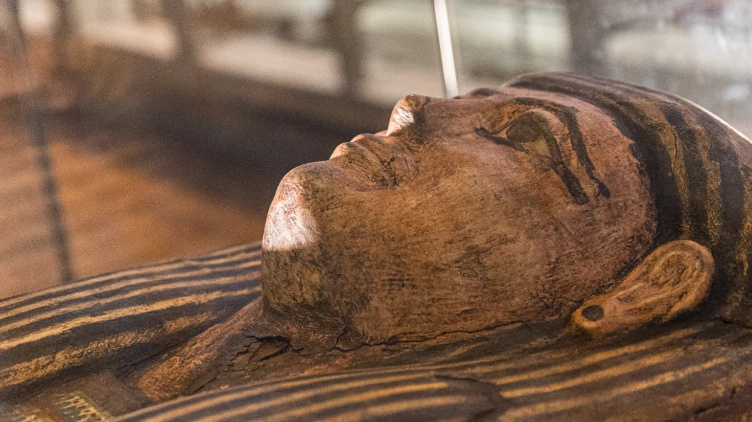 The mummified body of the woman named Asru has been placed back in its coffin
