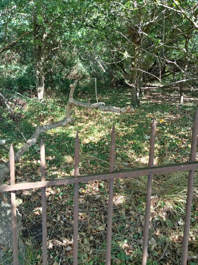 Cast-Iron Fence - Horton Cemetery!