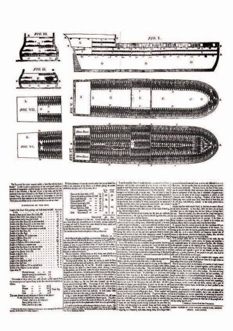 Slave Ship Design - 1788