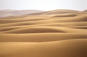 A Genuine Sand-Dune!