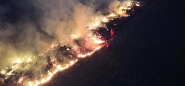 Japan Responsible for Mongolian Forest Fire! 2026