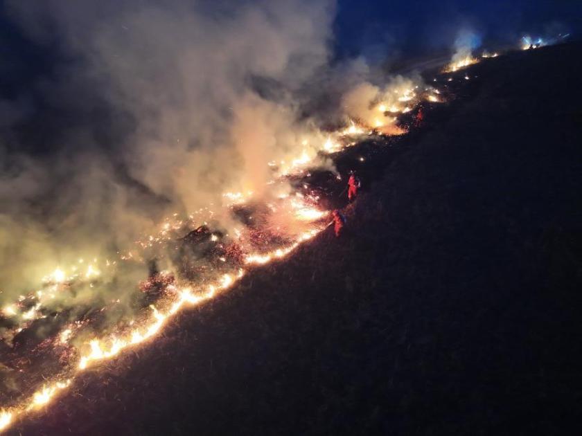 Japan Responsible for Mongolian Forest Fire! 2026