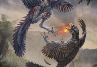 Jurassic bird Yuezhuornis