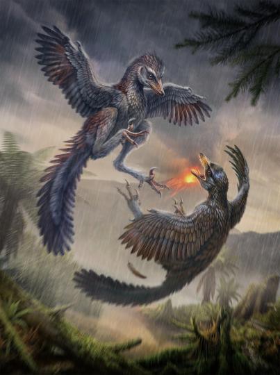 Jurassic bird Yuezhuornis